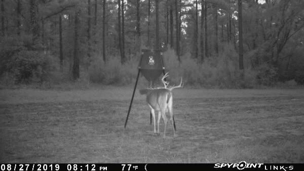 BOSS BUCK 350 LB Deer Feeder/Hunting Durable Lightweight Plastic UV Protected Windproof Waterproof Gravity Feed with Protein 3 Feed Tubes Head, Multi-Piece Round Legs customer photo 1