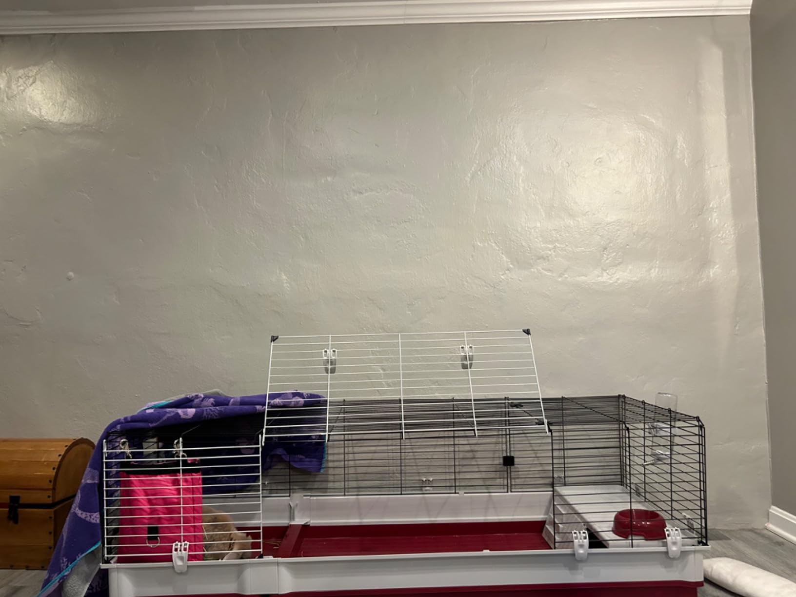 Ferplast Krolik XXL Rabbit Cage w/Wire Extension | Rabbit Cage Includes All Accessories & Measures 63.8L x 23.62W x 19.68H Inches | 1-Year Warranty customer photo 1