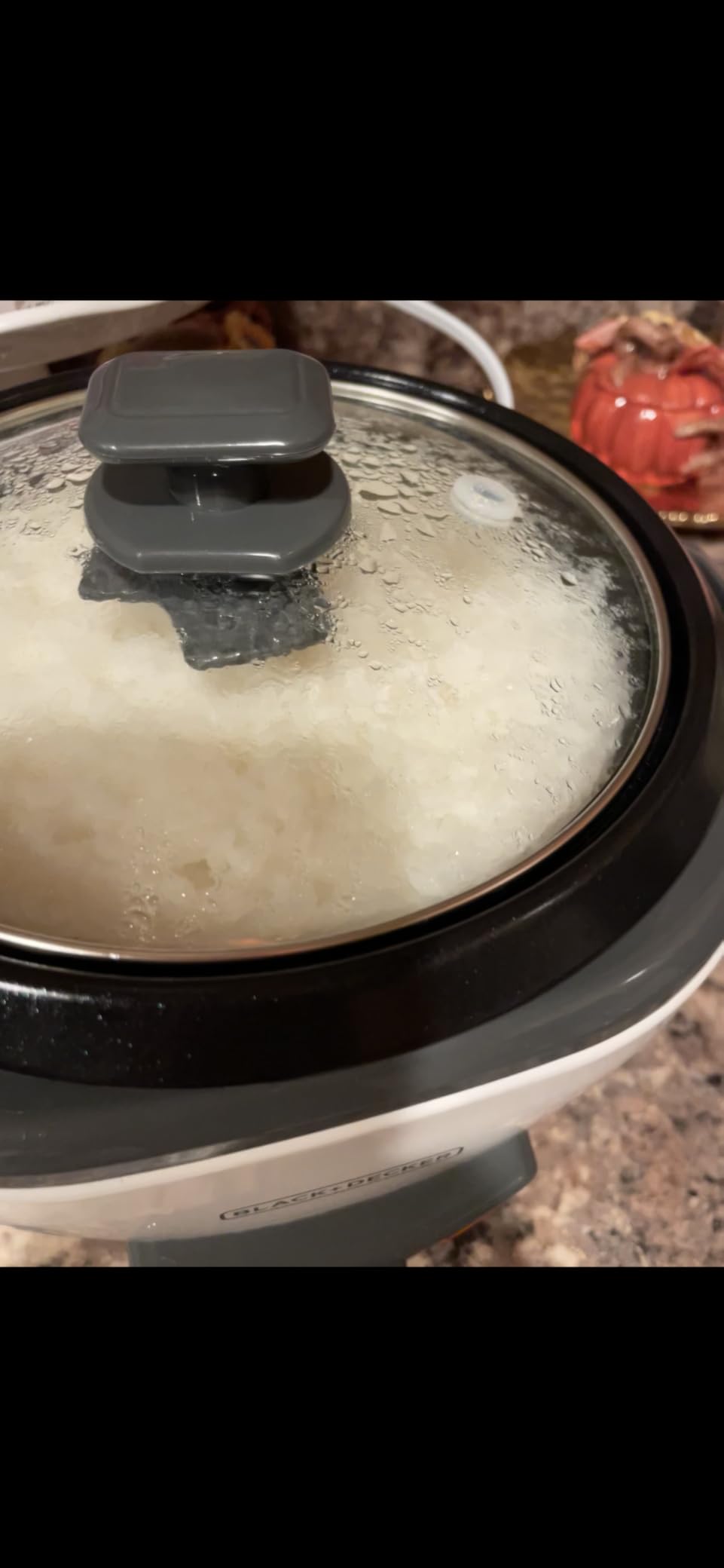 BLACK+DECKER 6-Cup Rice Cooker with Steaming Basket customer photo 2