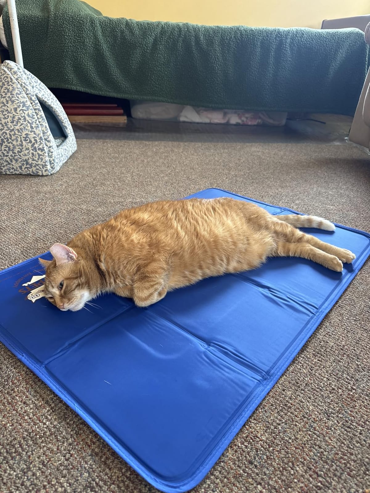 Arf Pets Dog Cooling Mat - Solid Gel Self-Cool Pad | Durable & Non-Toxic customer photo 2