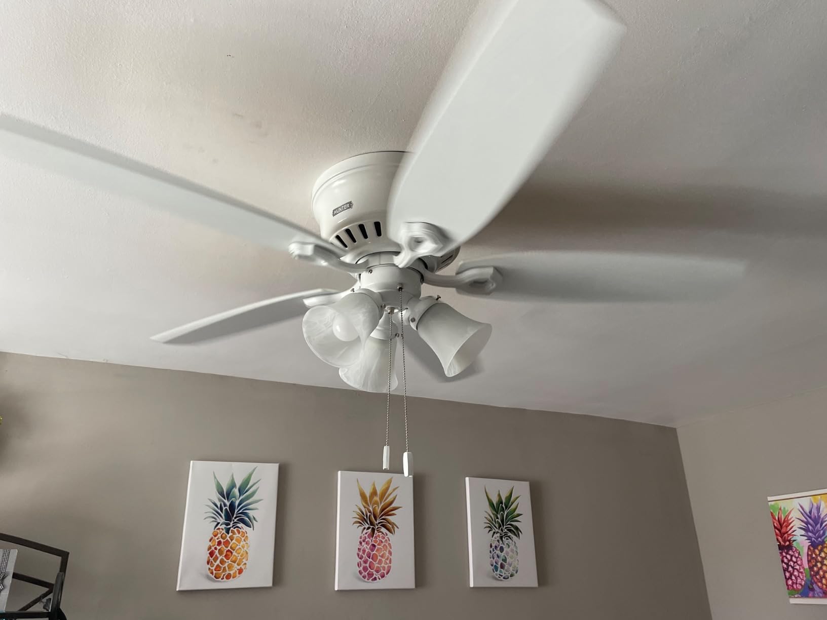 Hunter Builder, Indoor, Ceiling Fan, with LED Lights, 42 inch, New Bronze customer photo 1