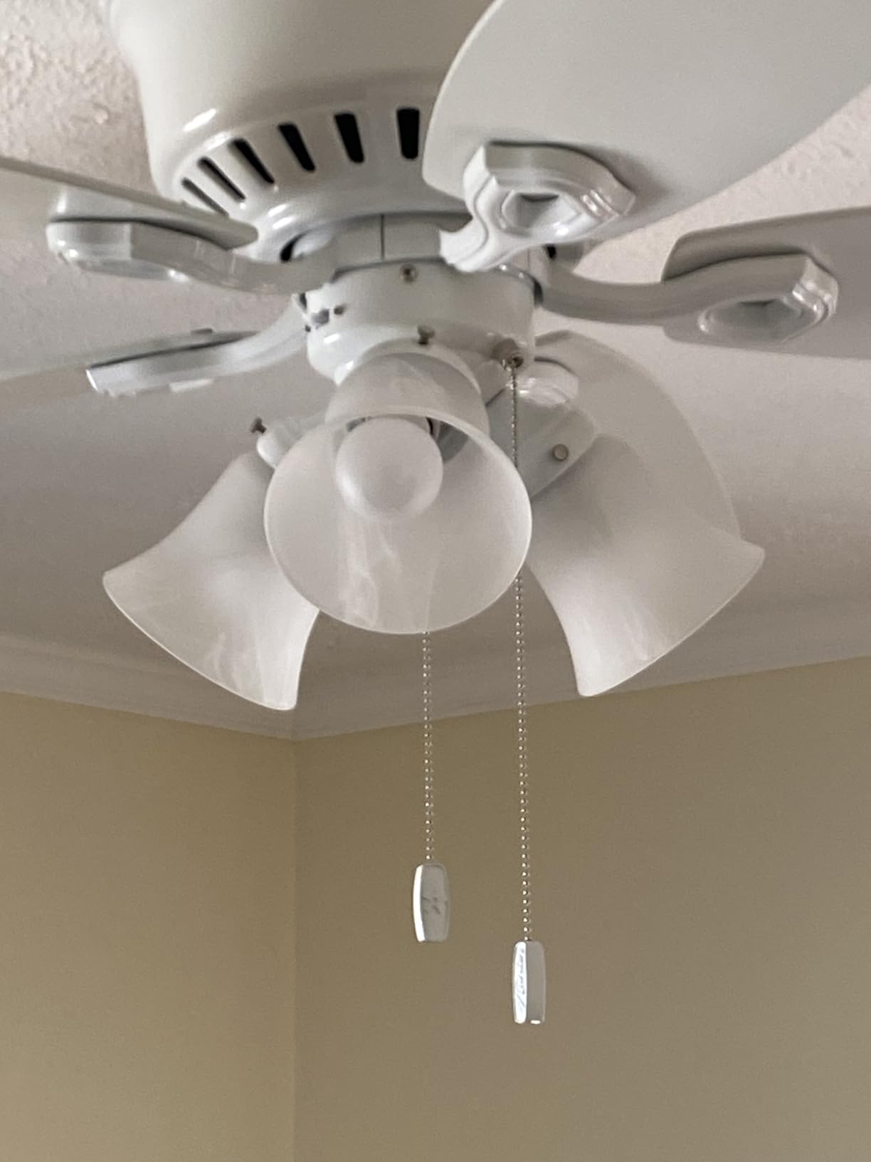 Hunter Builder, Indoor, Ceiling Fan, with LED Lights, 42 inch, New Bronze customer photo 2