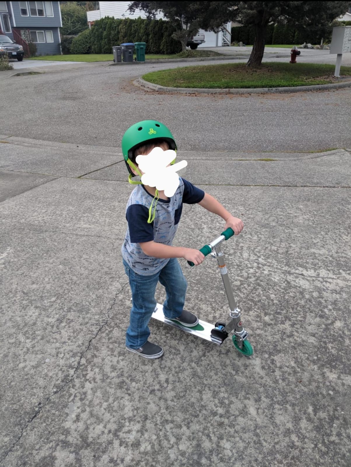 Razor Scooter A3 Model Kick Scooter | Classic Manual Standup customer photo 2