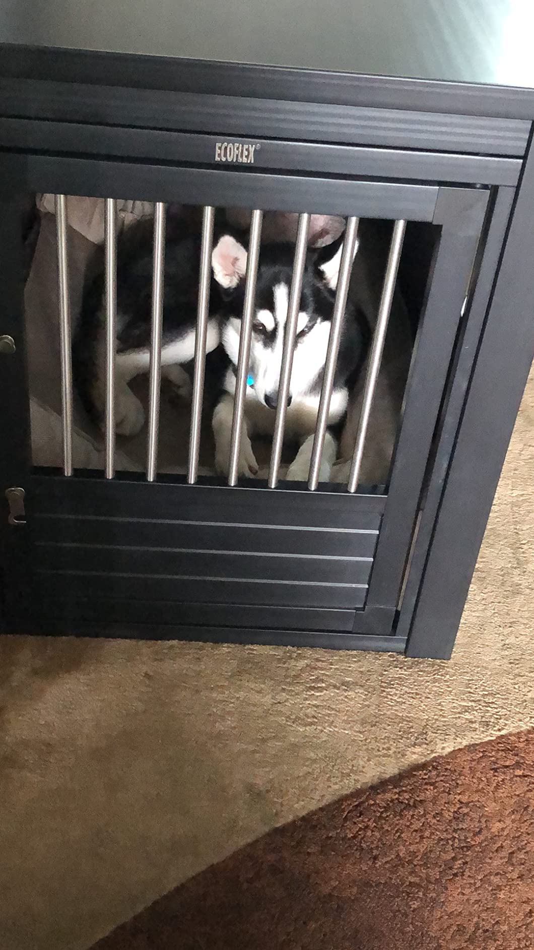 New Age Pet® ECOFLEX® Large Furniture Style Dog Crate & End Table, White customer photo 2