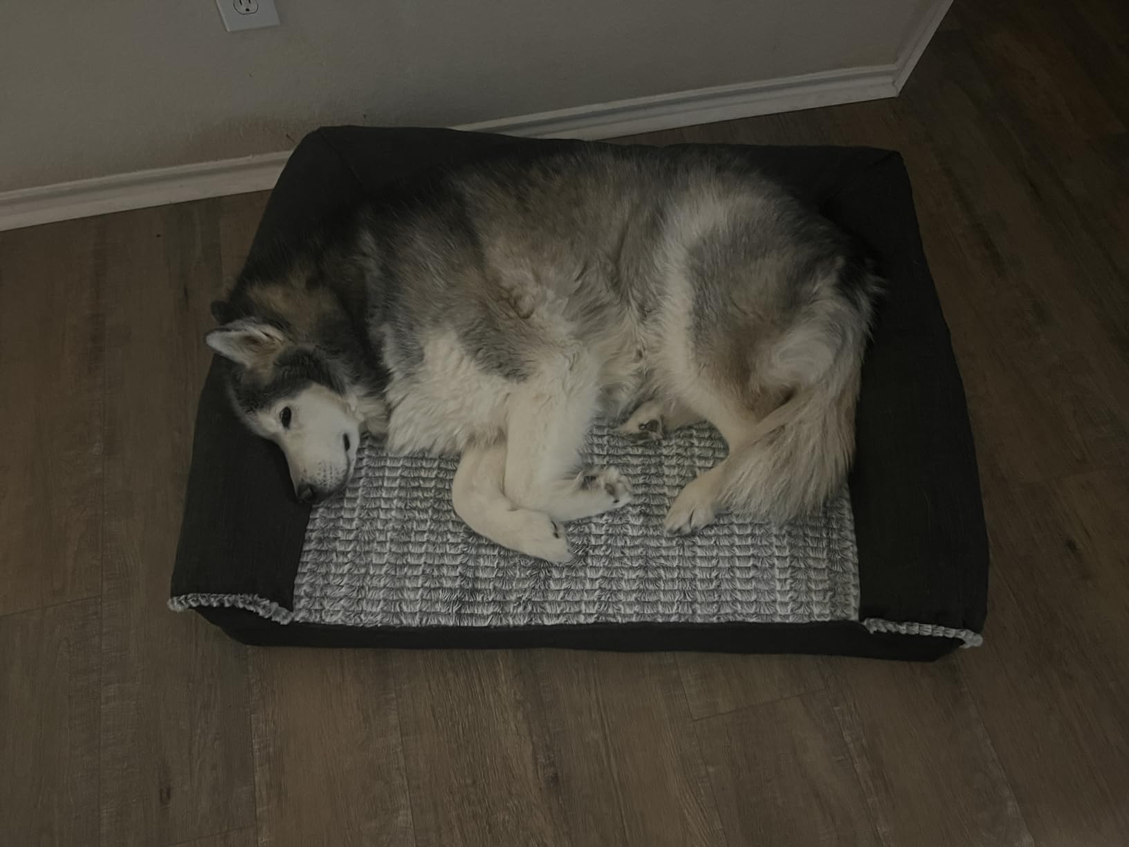 Furhaven Orthopedic Dog Bed for Medium/Small Dogs w/ Removable Bolsters & Washable Cover, For Dogs Up to 35 lbs - Plush & Suede Sofa - Gray, Medium customer photo 1