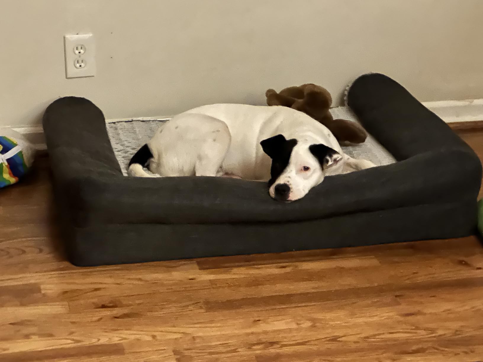 Furhaven Orthopedic Dog Bed for Medium/Small Dogs w/ Removable Bolsters & Washable Cover, For Dogs Up to 35 lbs - Plush & Suede Sofa - Gray, Medium customer photo 2