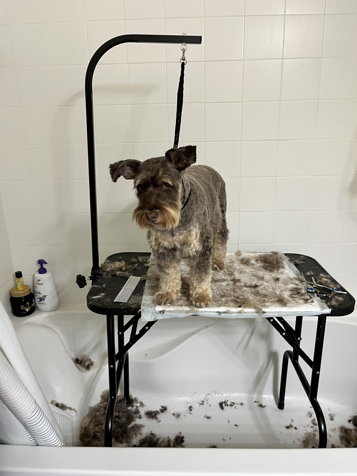 Yaheetech 32 Inch Sturdy Dog Grooming Table for Home, Black customer photo 2