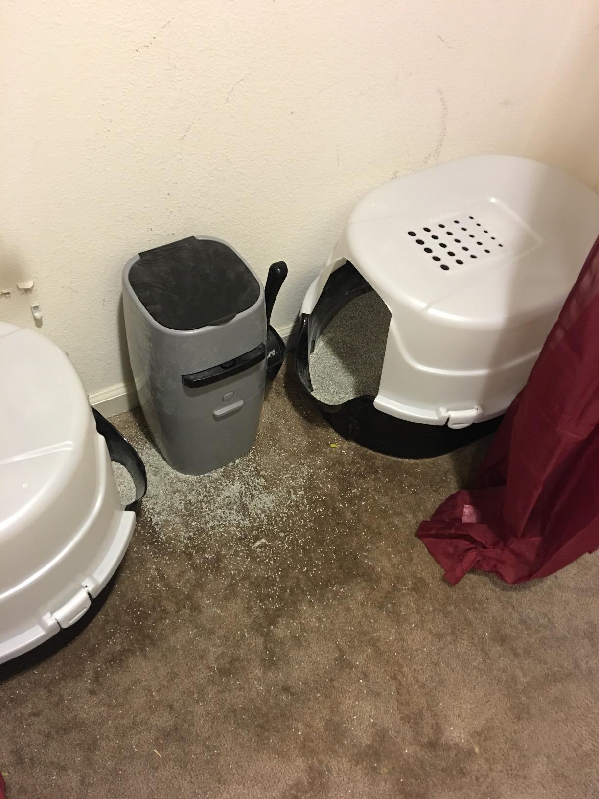 Nature's Miracle Hooded Flip Top Cat Litter Box with Charcoal Filter customer photo 1
