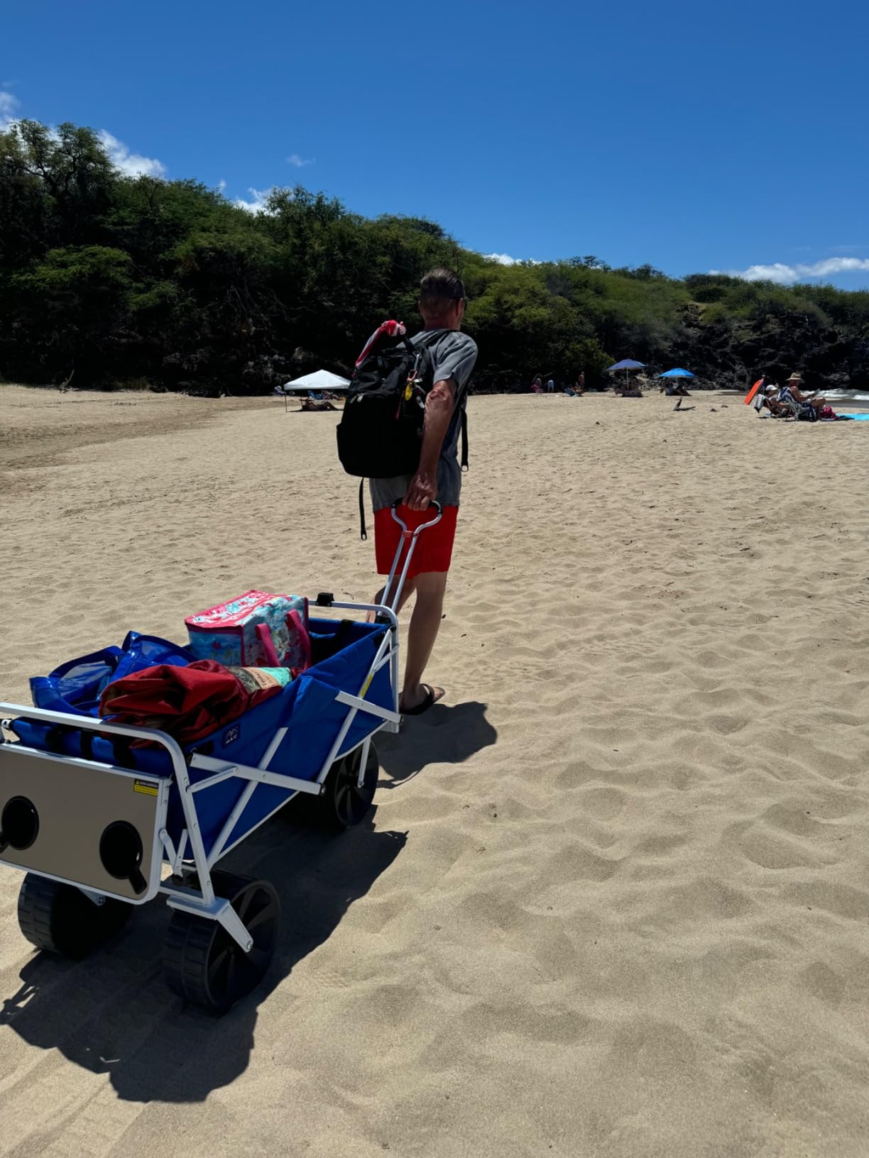 Mac Sports Heavy Duty Collapsible Folding All Terrain Utility Beach Wagon Cart, Blue/Black customer photo 1