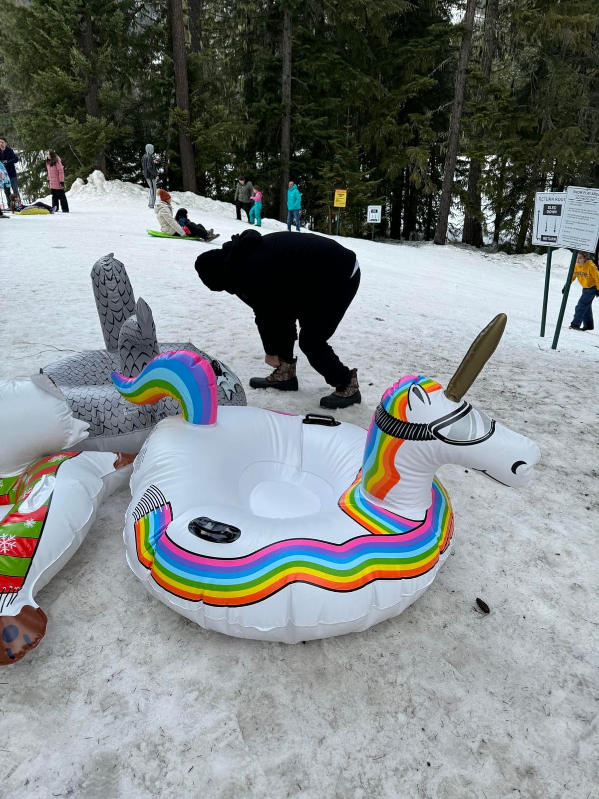 GoFloats Winter Snow Tubes - Choose from Unicorn, Disney's Frozen, Ice Dragon, Polar Bear, Penguin, Flamingo - Inflatable Sled for Kids and Adults customer photo 1