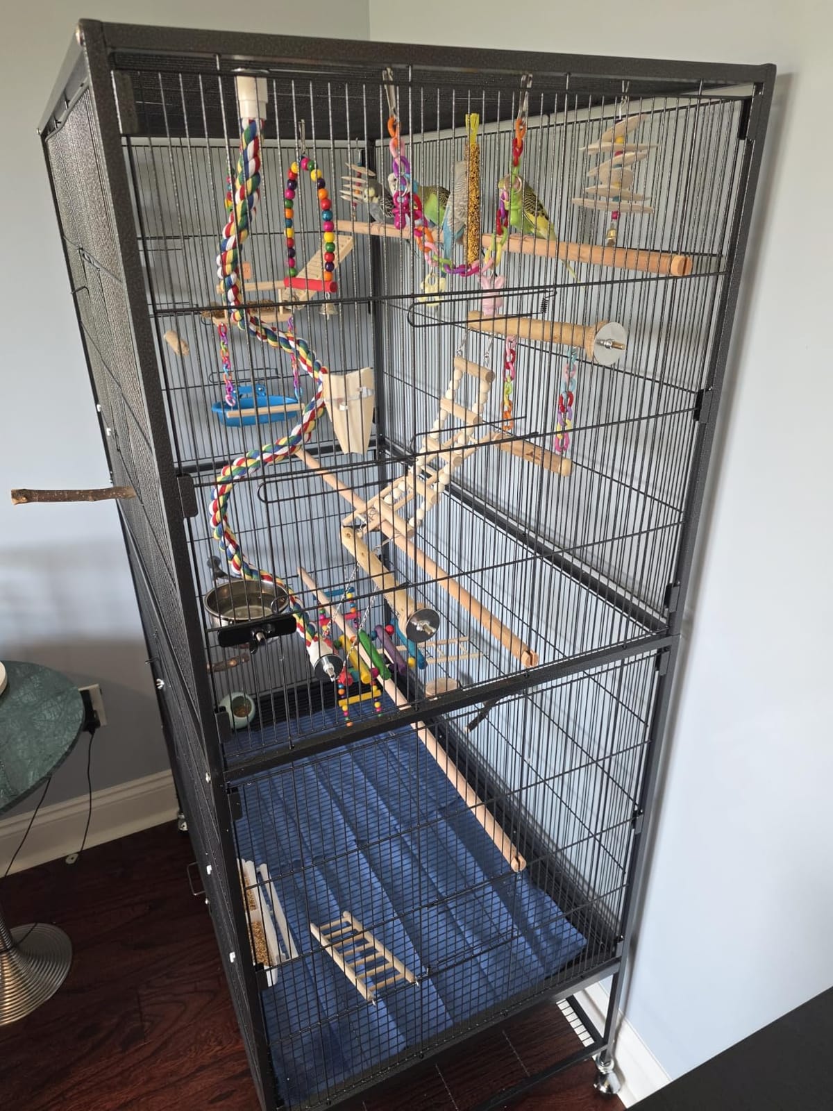 Prevue Pet Products Wrought Iron Bird Flight Cage w/Wheels- L, Chalk White customer photo 1
