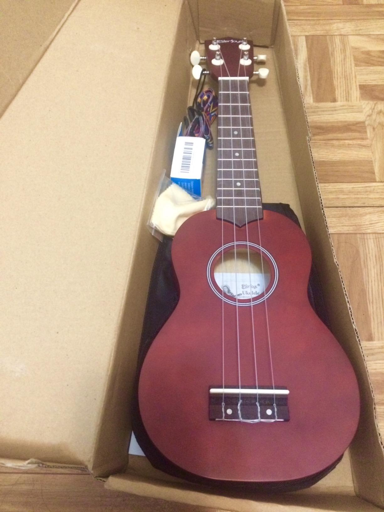 Everjoys Soprano Ukulele Beginner Kit 21 Inch w/Free Online Lesson Gig Bag Tuner Picks Strap, Fast to Learn (Rainbow String) customer photo 2