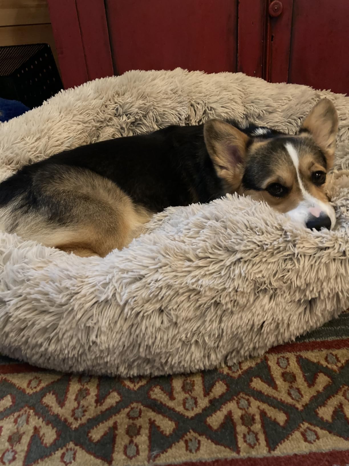 Best Friends by Sheri Original Calming Donut Dog Bed, Taupe, Small, 23