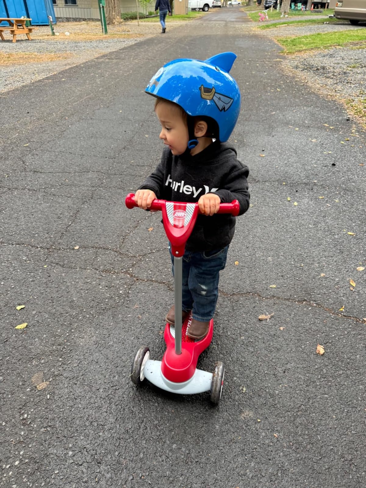 Radio Flyer My 1st Scooter, For Kids 2-5 Years Old, Red customer photo 2