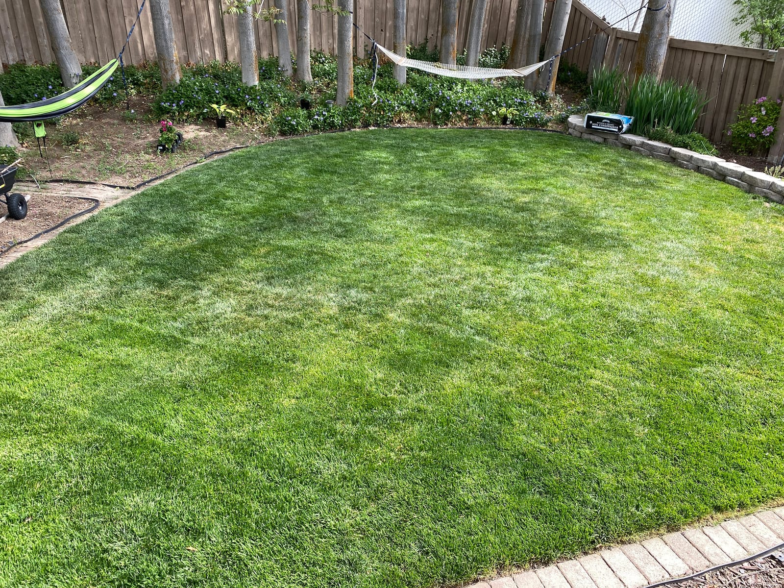 Black+Decker 40V MAX 13 Inch String Trimmer and Lawn Edger with Battery and Charger, Cordless Weed Eater with Charge Indicator, High Torque PowerDrive Technology (LST140C) customer photo 2