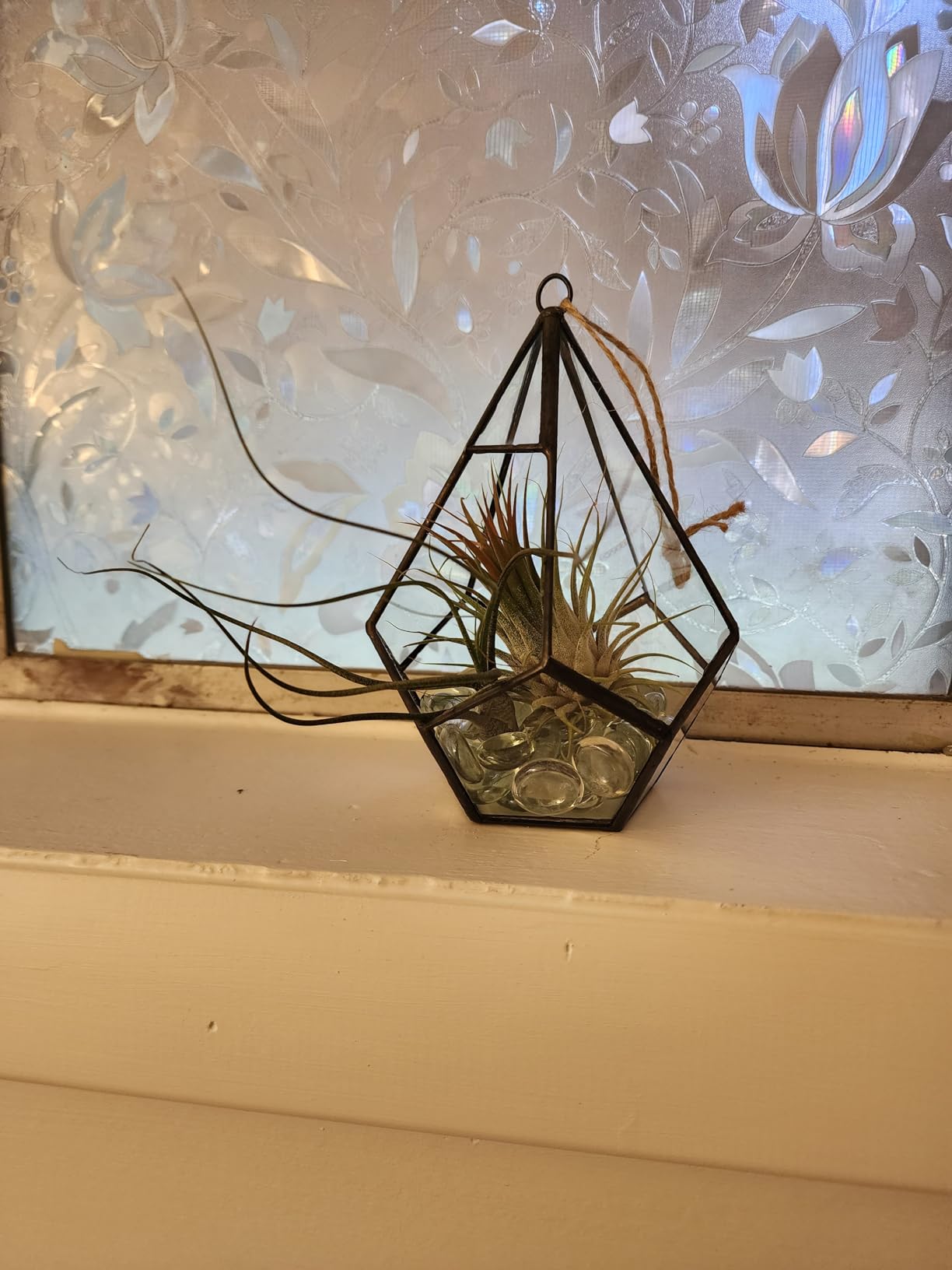 NCYP Silver Hanging Glass Geometric Terrarium, 6.8 x 6.8 x 8.6 Inches Teardrops Shape Display Planter for Succulent Air Plants customer photo 2