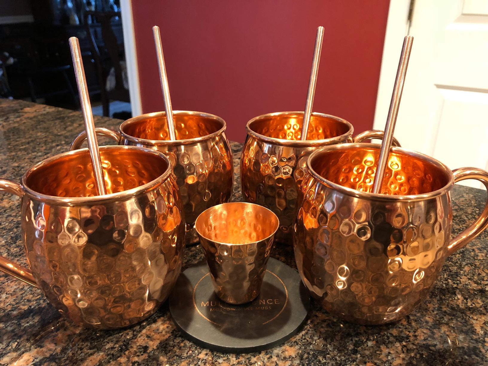 Advanced Mixology Pure Copper Moscow Mule Mugs Set of 4, 19 oz Hand-Hammered Copper Cocktail Mugs with Reusable Straws, Jigger & Coasters, Ideal for Home Bars, Restaurants & Events, 1-Year Warranty customer photo 2