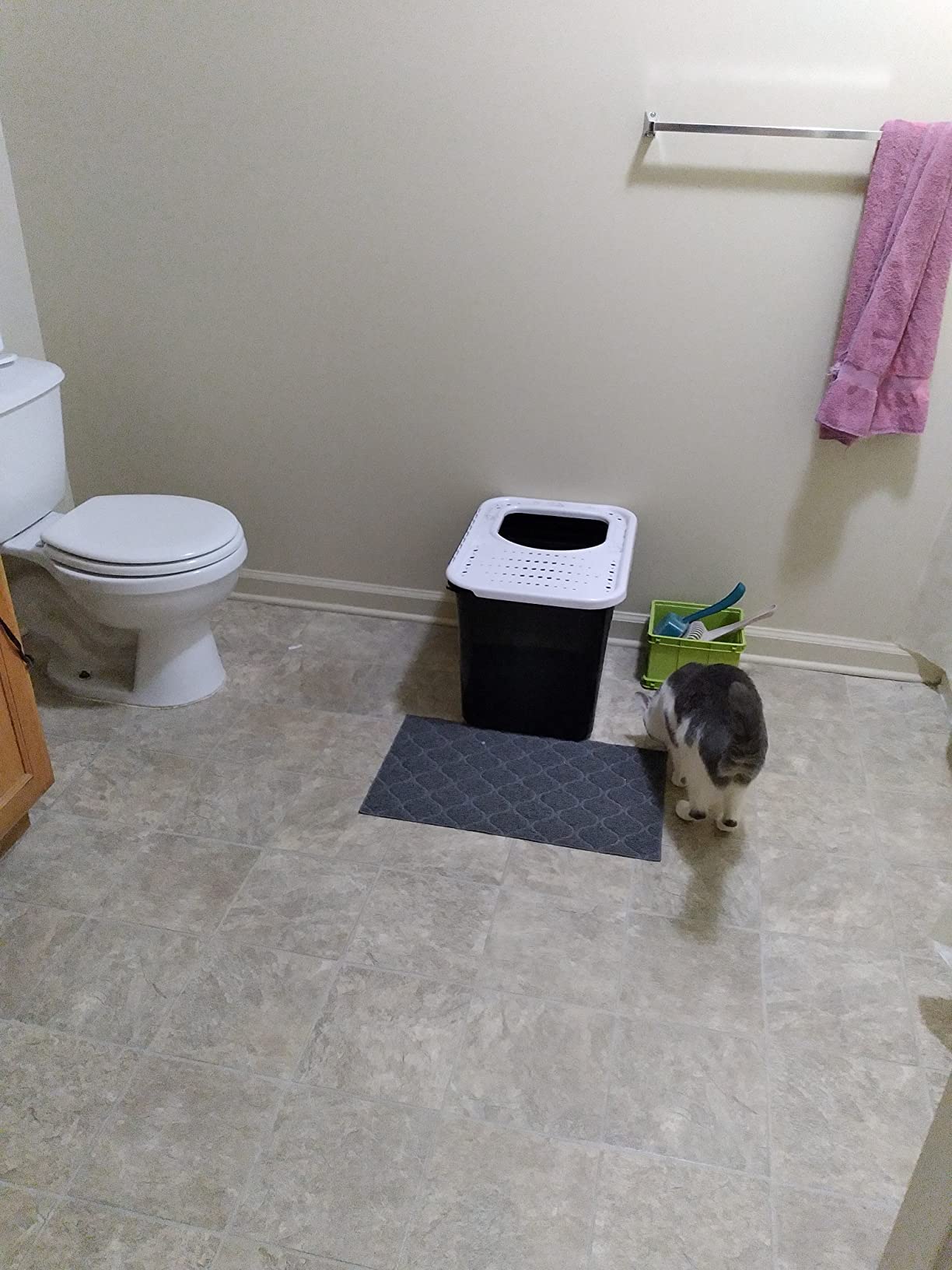 Arm & Hammer Premium Top Entry Litter Box with Filter to Clean Paws and Microban, Made in USA customer photo 1
