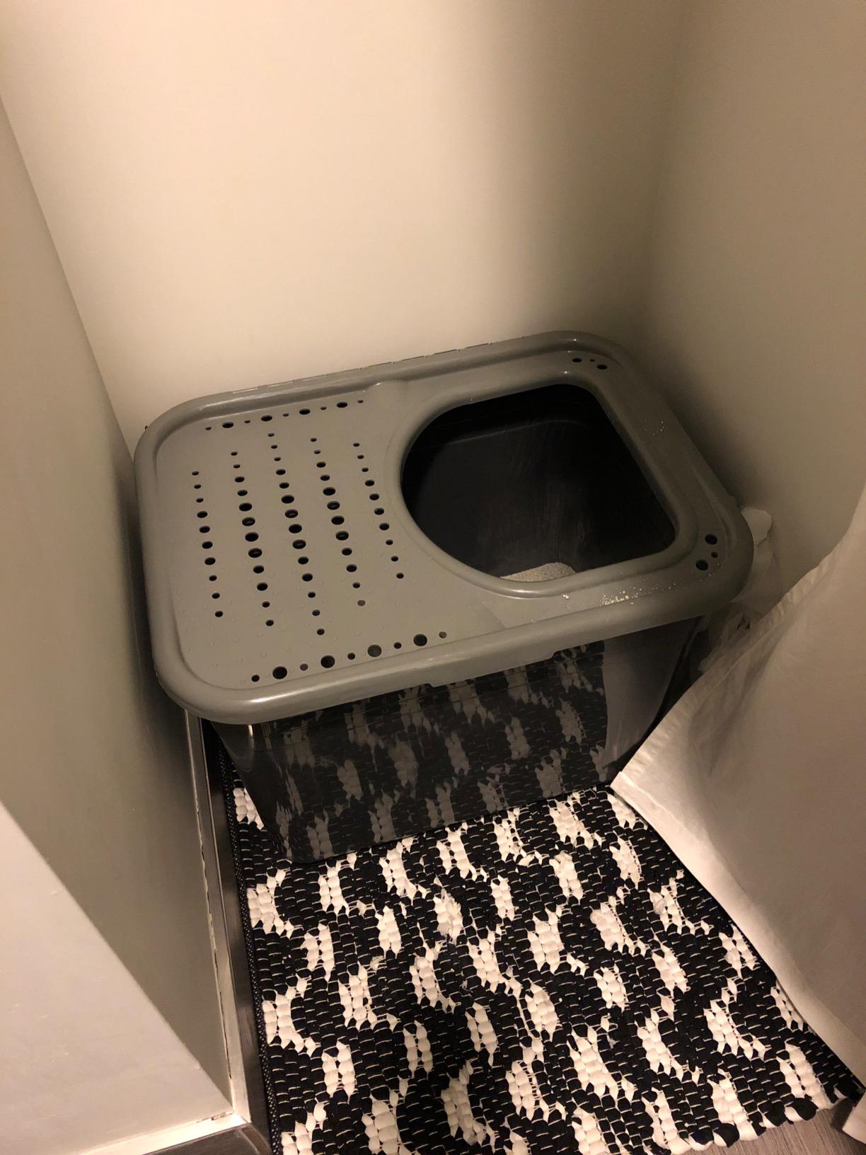 Arm & Hammer Premium Top Entry Litter Box with Filter to Clean Paws and Microban, Made in USA customer photo 2