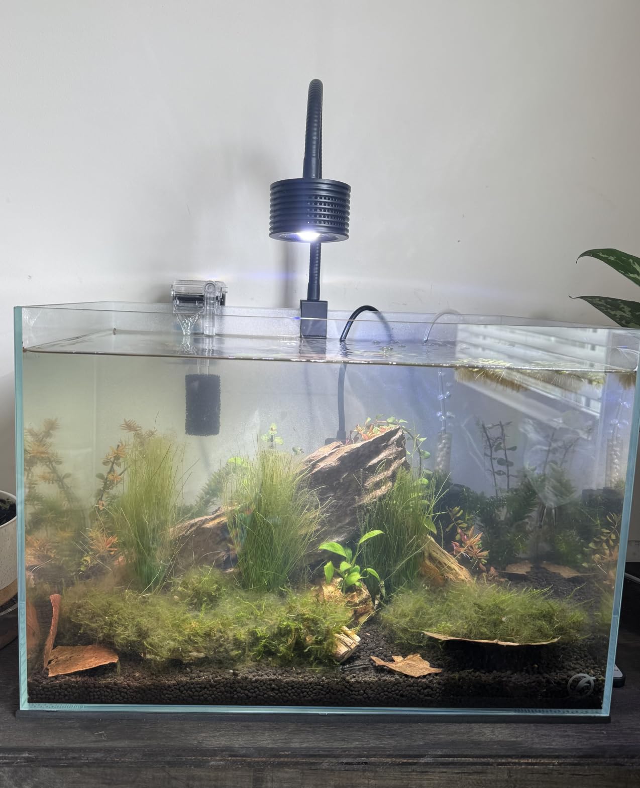 Lominie LED Aquarium Light, Planted Tank Light 4 Channels Remote Control 6500K Aquarium LED Lamp for Freshwater Fish Tank Refugium with Gooseneck (A20 Freshwater) customer photo 1
