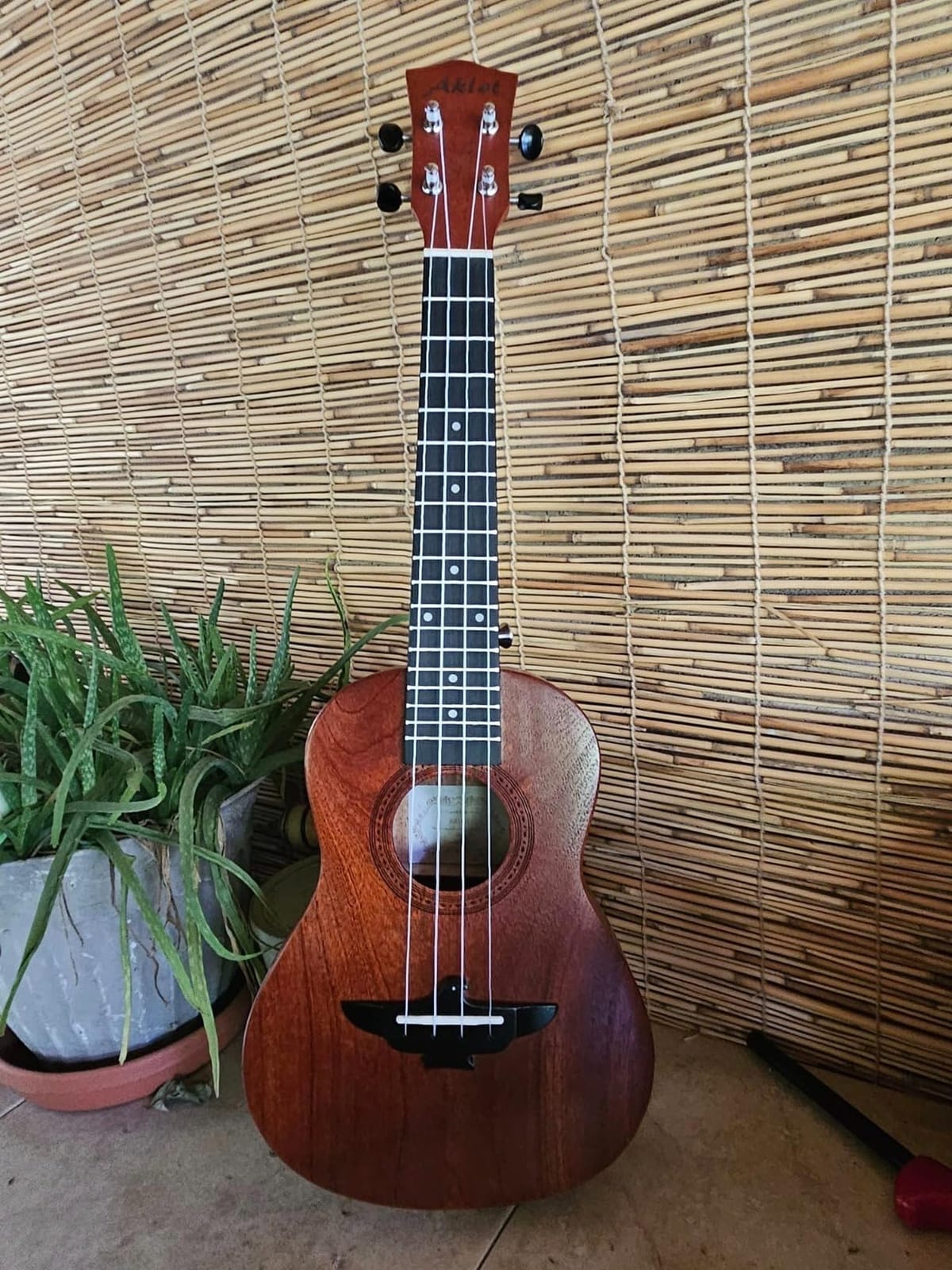 AKLOT Concert Ukelele Solid Mahogany 23 inch for Professional Beginners Adults Kit with Free Online Lesson and Uke Accessories customer photo 1