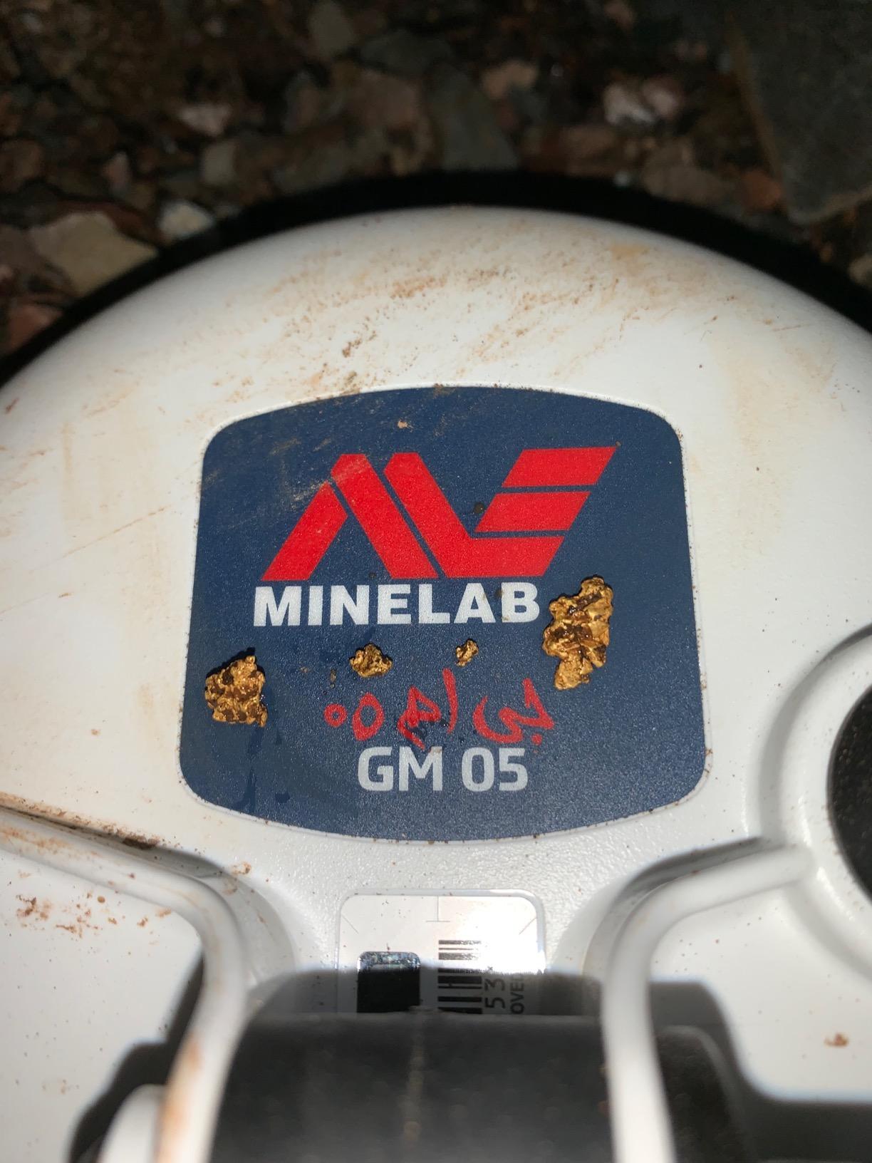 Minelab Gold Monster 1000 Gold Detector for Adults with Waterproof Coil customer photo 1