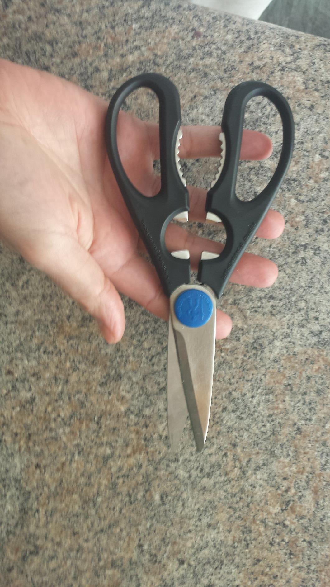 Henckels Kitchen Scissors Multi-purpose kitchen shears Made in Japan customer photo 2