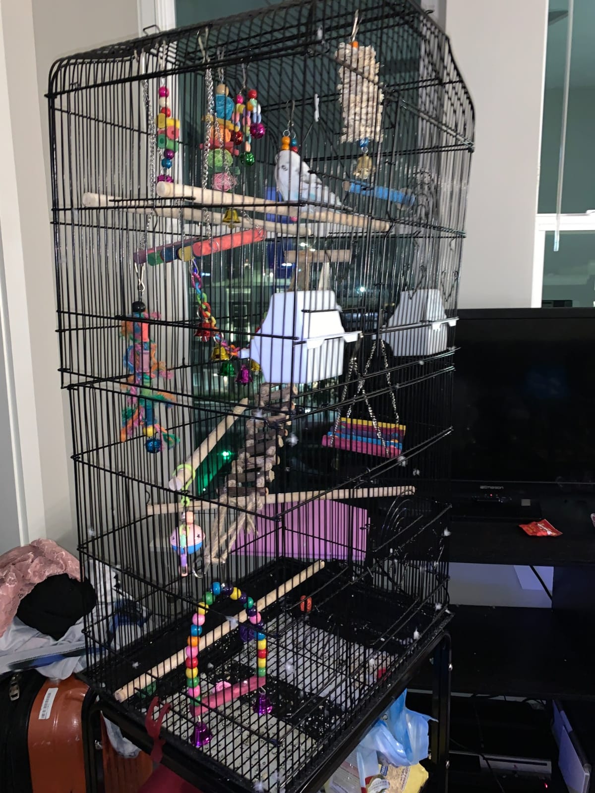 Yaheetech 64'' Open Top Bird Cage for Parakeets & Cockatiels, Black customer photo 1