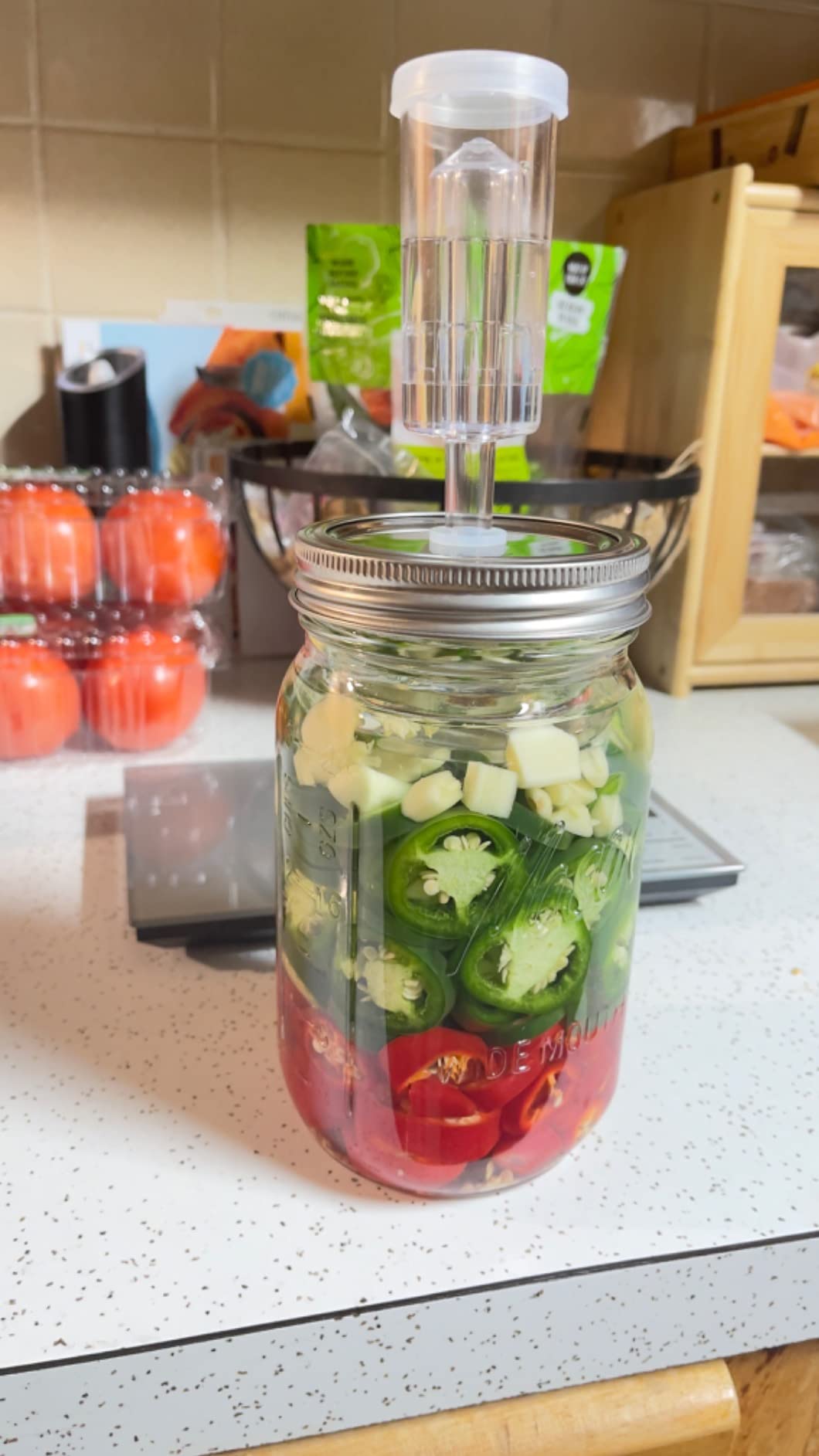 JILLMO Stainless Steel Fermentation Lids for Wide Mouth Mason Jars, 4 Pack | Fermenting Lids with Airlocks and Silicone Grommets for Easy Fermentation of Pickles, Kimchi and Sauerkraut, No Jars Included customer photo 1