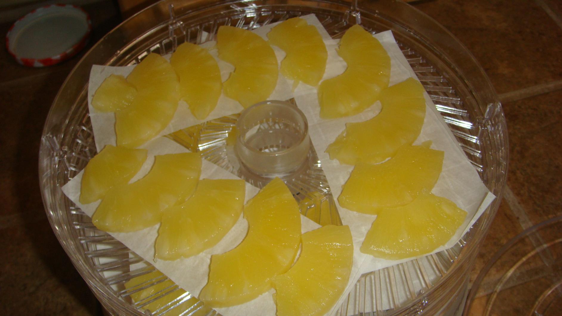Commercial Chef Food Dehydrator, Five 9.25” BPA-Free Trays, CCD100W6, White customer photo 2