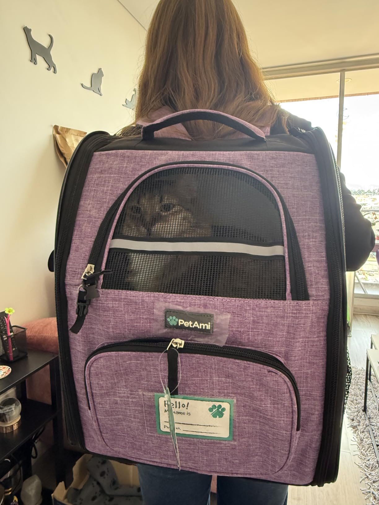 PetAmi Dog Backpack Carrier Airline Approved Cat Pet Puppy Bag, Black customer photo 1