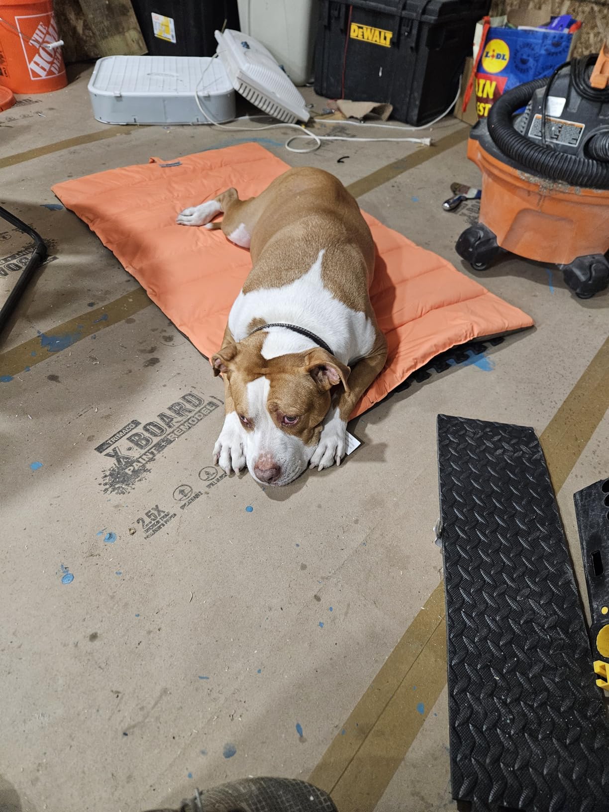 CHEERHUNTING Outdoor Dog Bed, Waterproof, Washable, Large Size, Durable, Water Resistant, Portable and Camping Travel Pet Mat customer photo 1