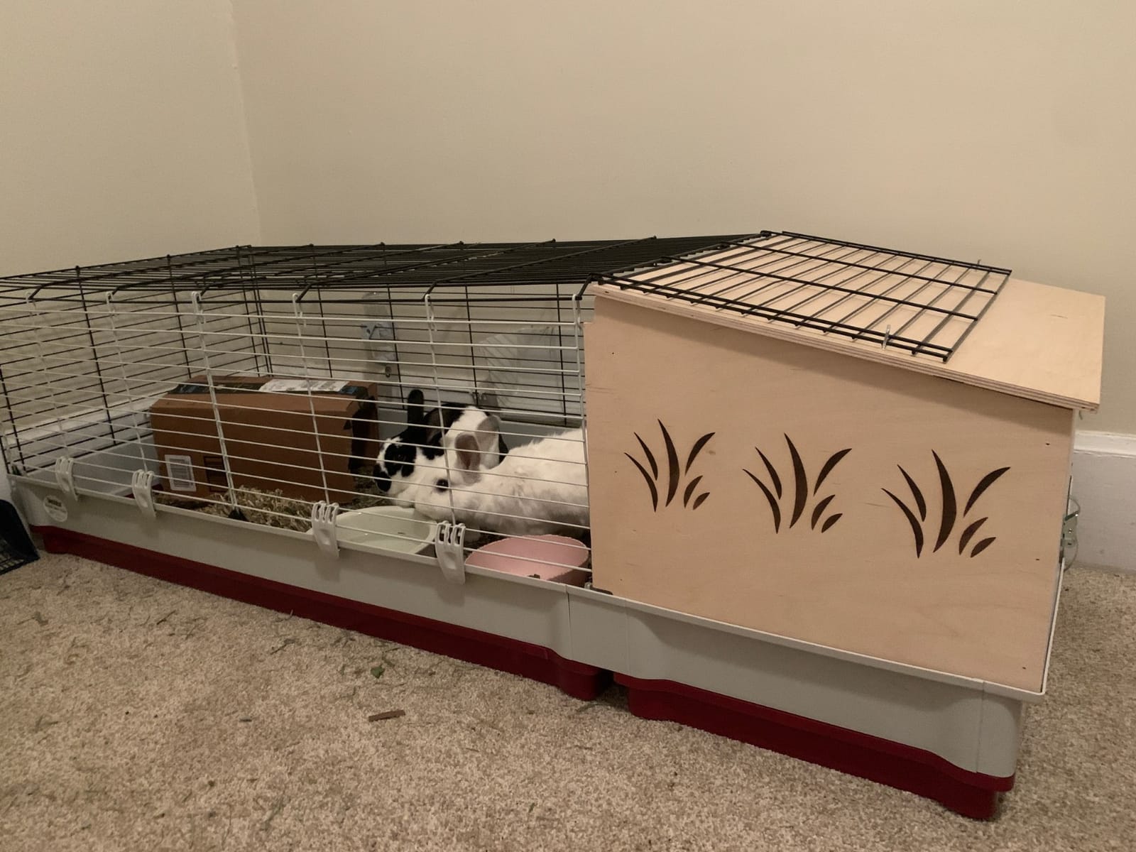 Midwest Homes for Pets Deluxe Rabbit & Guinea Pig Cage, X-Large, White & Red customer photo 2