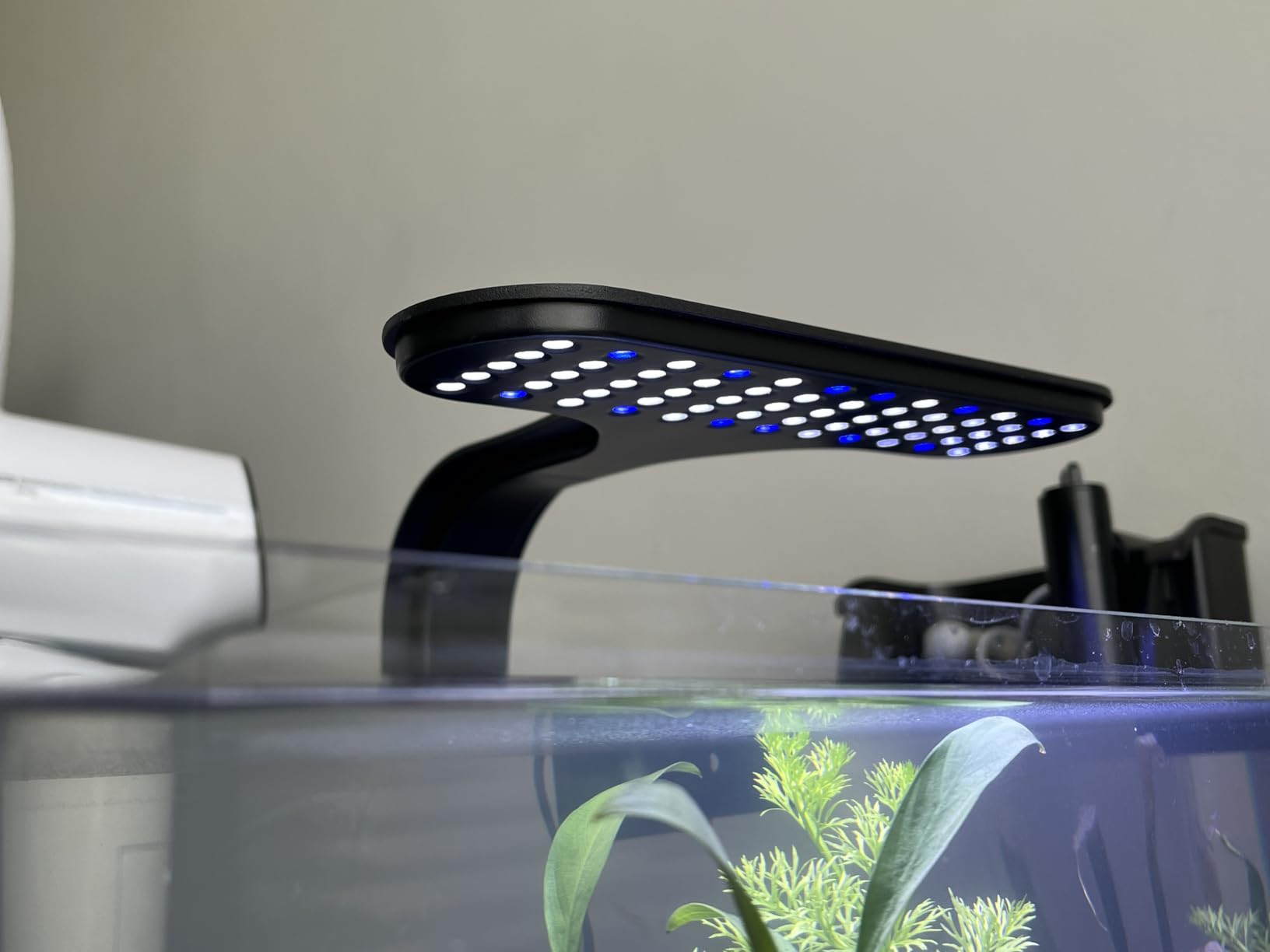 Aqueon Clip-On LED Fish Tank Light for Planted Aquariums, Up to 20 Gal customer photo 2