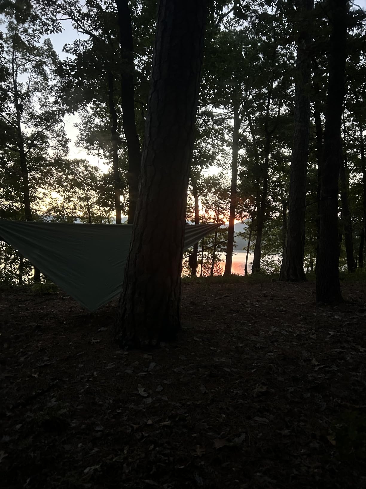 G4Free Large Camping Hammock for Outside with Mosquito Net 2 People Hammock | Up to 440lb Portable Hammock Durable Nylon with Bug Net, Tree Straps, Tent Tarp for Outdoor Hiking Camping Backpacking Travel customer photo 2