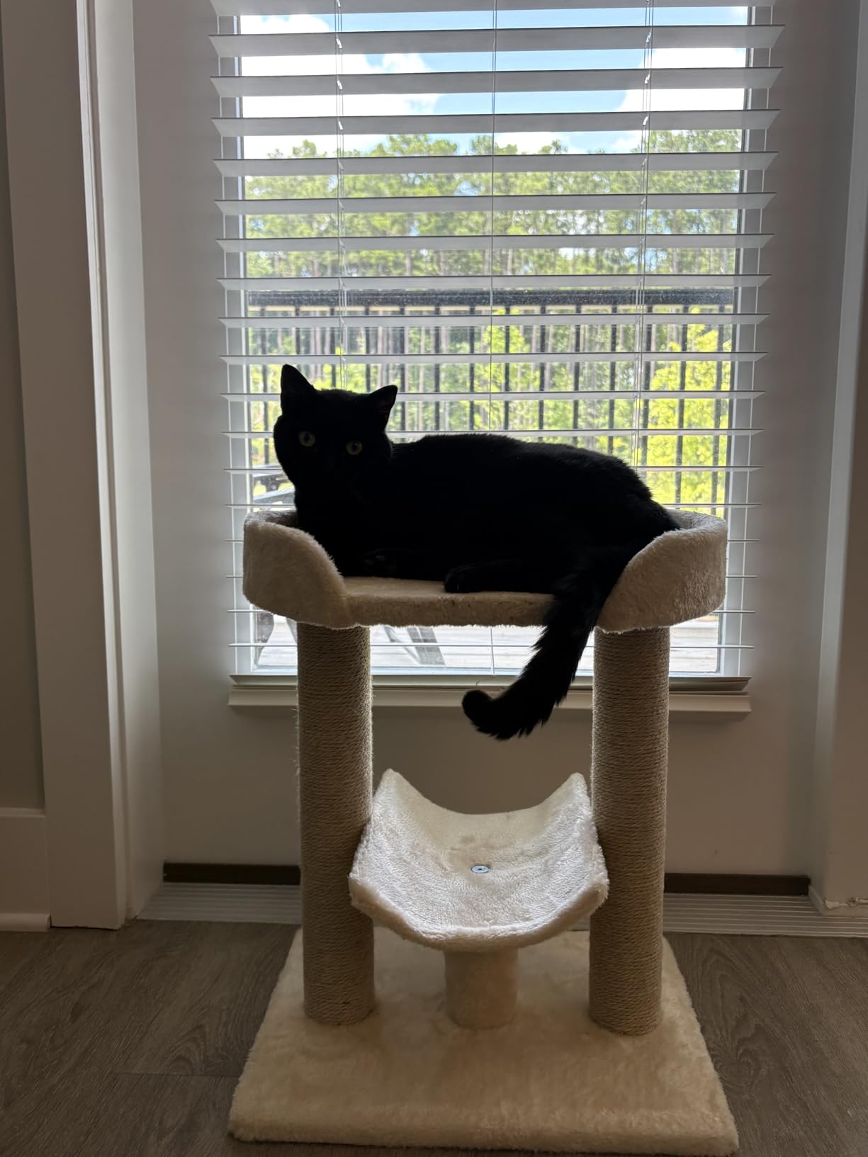 Amazon Basics Multi-Platform Cat Tree with Scratching Post for Indoor Cats up to 25lbs, 18 x 14 x 22 Inches, Beige customer photo 2