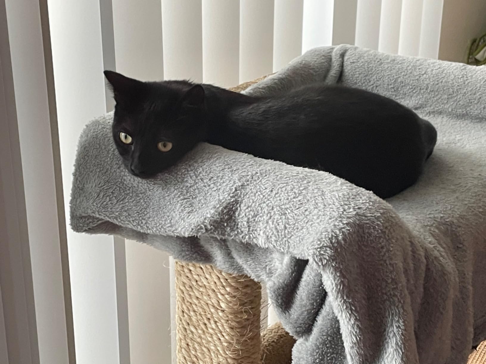 New Cat Condos Large Cat Play Perch customer photo 1