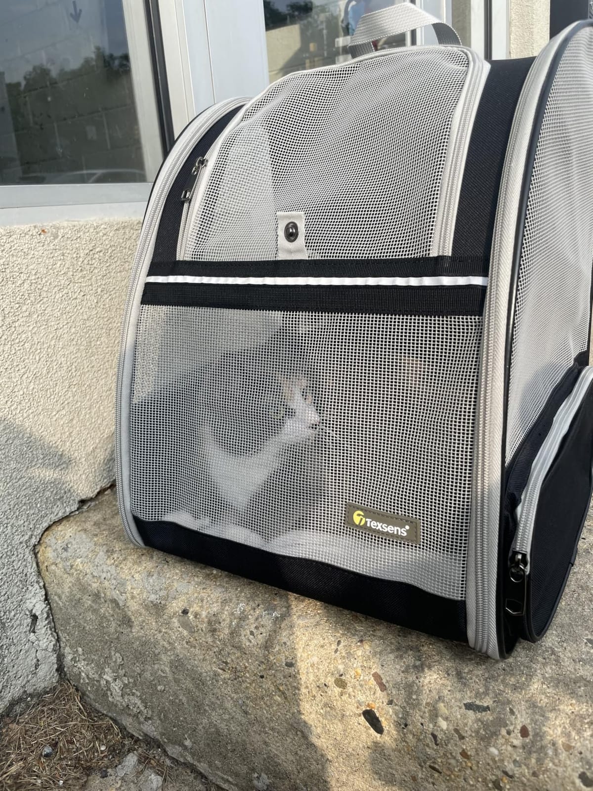 Texsens Innovative Traveler Bubble Backpack Pet Carriers for Cats and Dogs (Black) customer photo 2