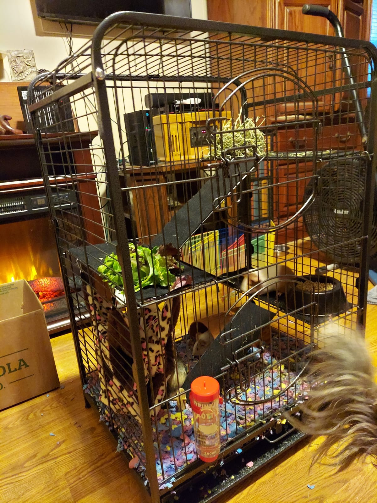 SUPER DEAL 37.2 Inches Metal Ferret Cage Chinchilla 4 Tiers Small Animal Cage with 3 Ladders/ 2 Front Doors/Food Bowl/Water Bottle/Slide Out Trays/Swivel Casters,Black customer photo 1