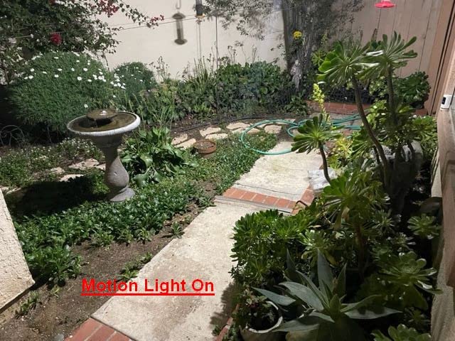 LEPOWER Solar LED Security Lights, PIR Motion Sensor Outdoor, 1600LM, Yard | 5500K Daylight, 72FT180° Motion Sensor Flood Light, 3 Adjustable Head, Easy Install, IP65 Waterproof for Porch, Patio, Garage customer photo 2