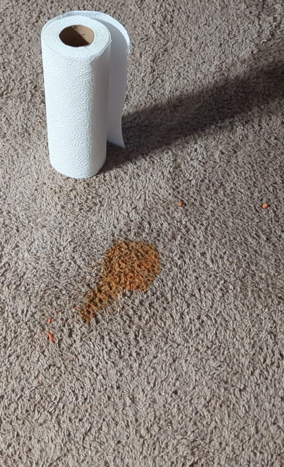 Bissell ProHeat 2X Revolution Pet Full Size Upright Carpet Cleaner, 1548F, Orange customer photo 1