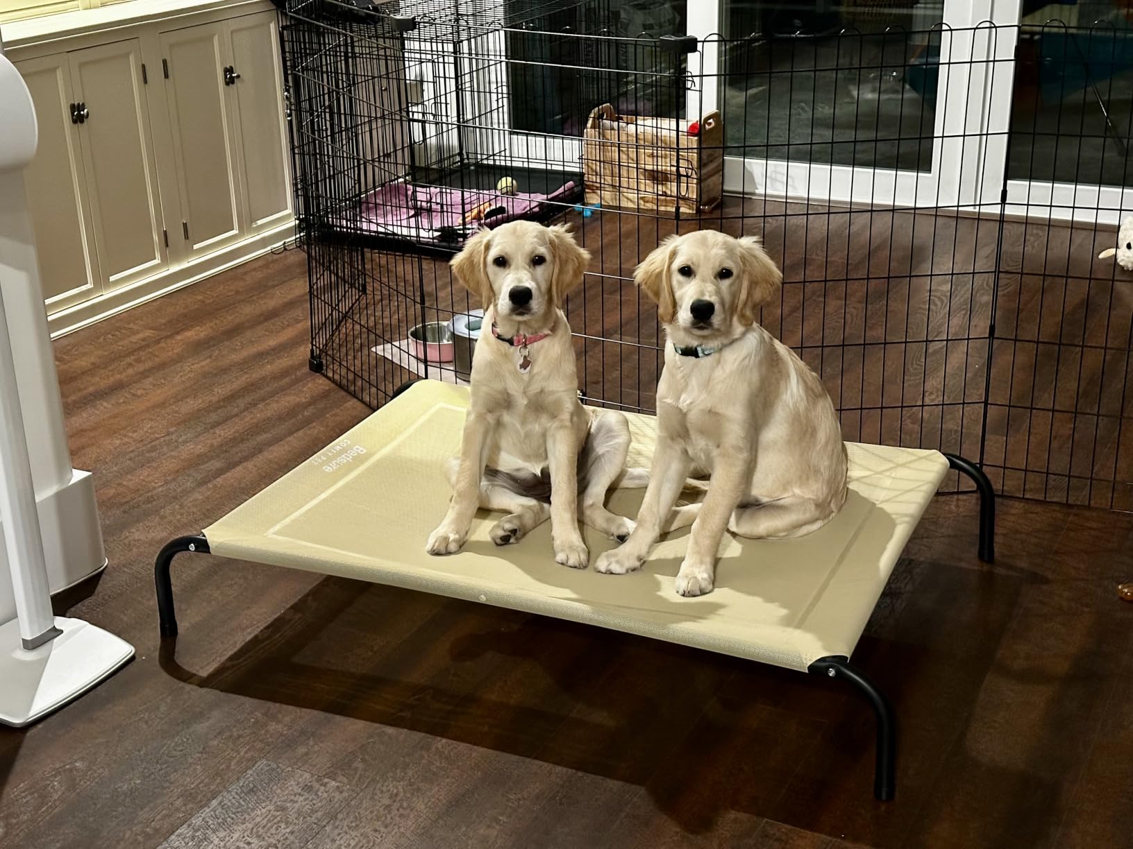 Bedsure Outdoor Elevated Cooling Dog Bed Large Sized Dog, 49in Grey | Portable Raised Camping Pet Cot Hammock, Breathable Teslin Mesh, Weather Resistant, For Large Pets Up to 85 lbs, Easy to Assemble customer photo 2