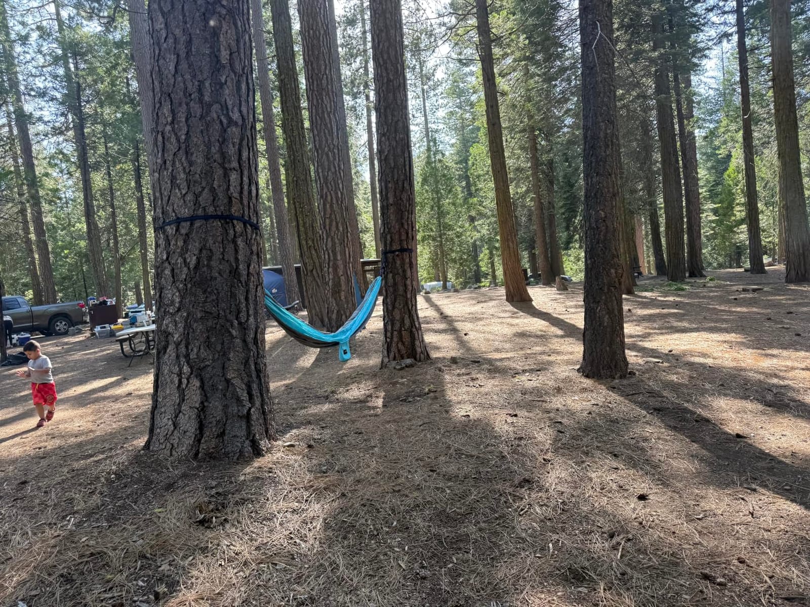 Kootek Camping Hammock 500lbs Capacity Outdoor Camping Essentials, Double customer photo 1