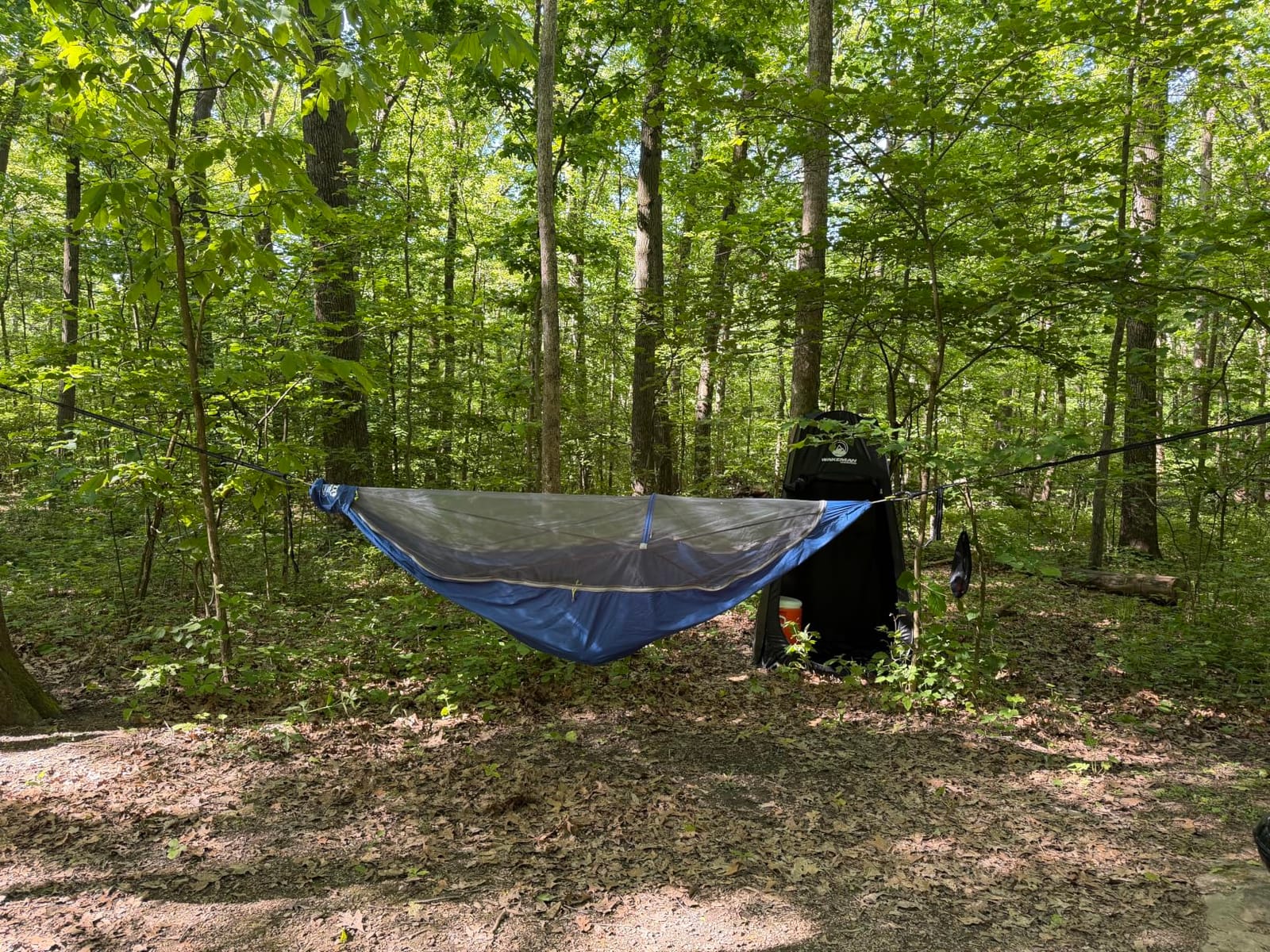 ENO Atlas XL Suspension System - Tree Strap for Hammock - Accessories for Camping, Hiking, and Backpacking - Black/Royal customer photo 2