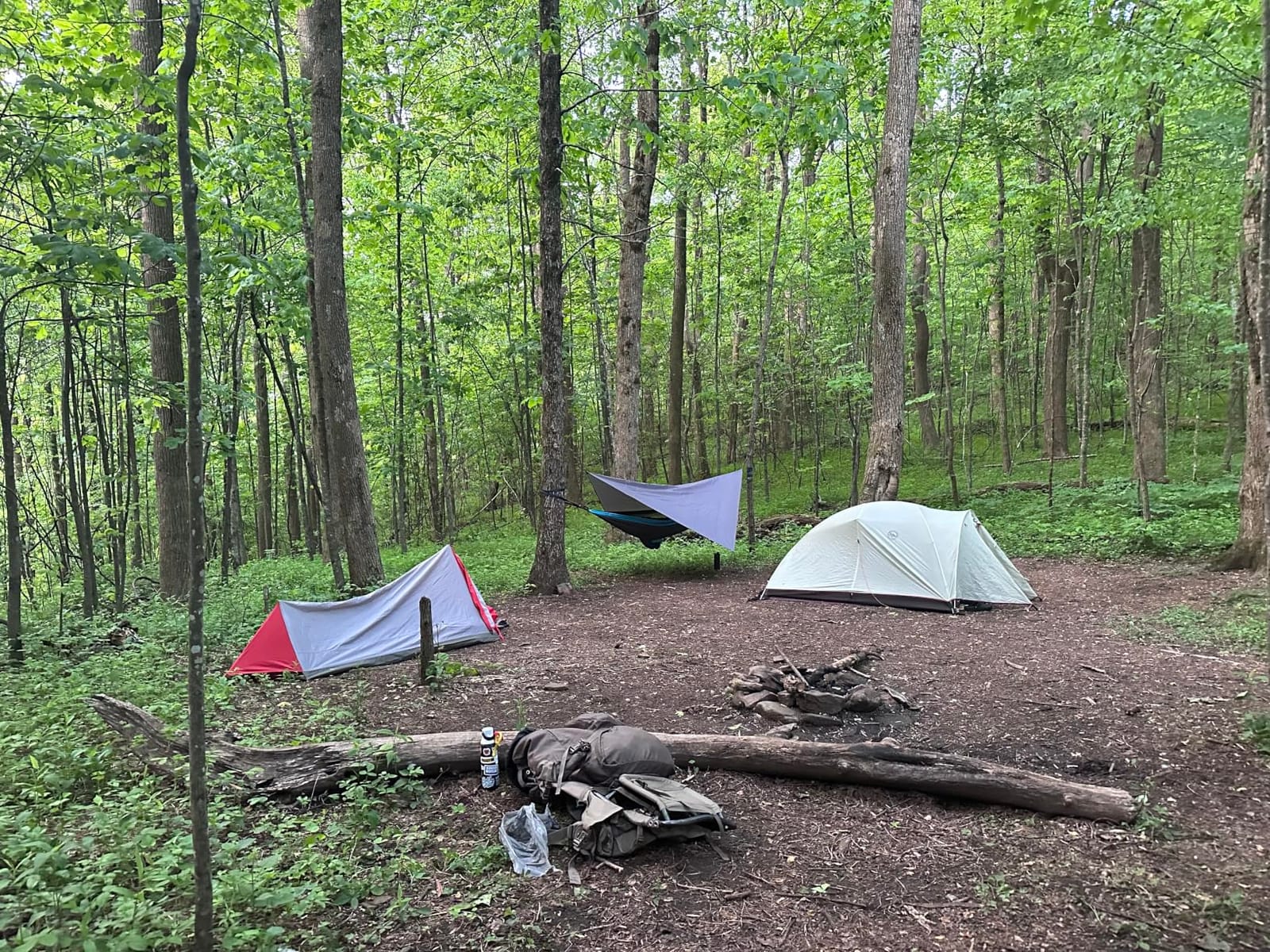 Camping Hammock with Rain Fly Tarp and Mosquito Net Tent Tree Straps, Portable Single Double Nylon Parachute Hammock Rainfly Set for Backpacking Hiking Travel Yard Outdoor Activities Green customer photo 2