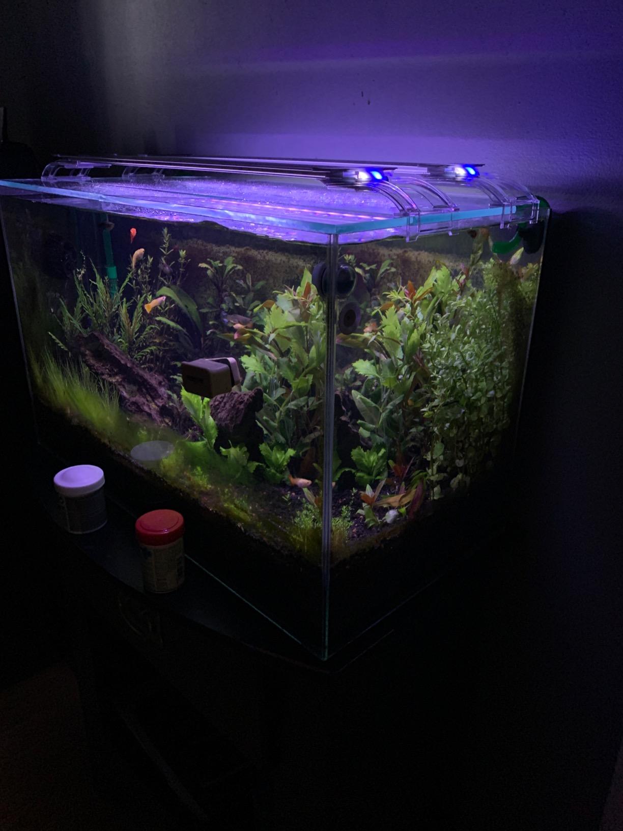 Finnex Planted Plus True 24/7 + HLC Aquarium LED Light, Automated Full Spectrum Fish Tank Light, True 660nm Deep Red Plant LEDs, 20 Inch, (HLC-20) customer photo 1