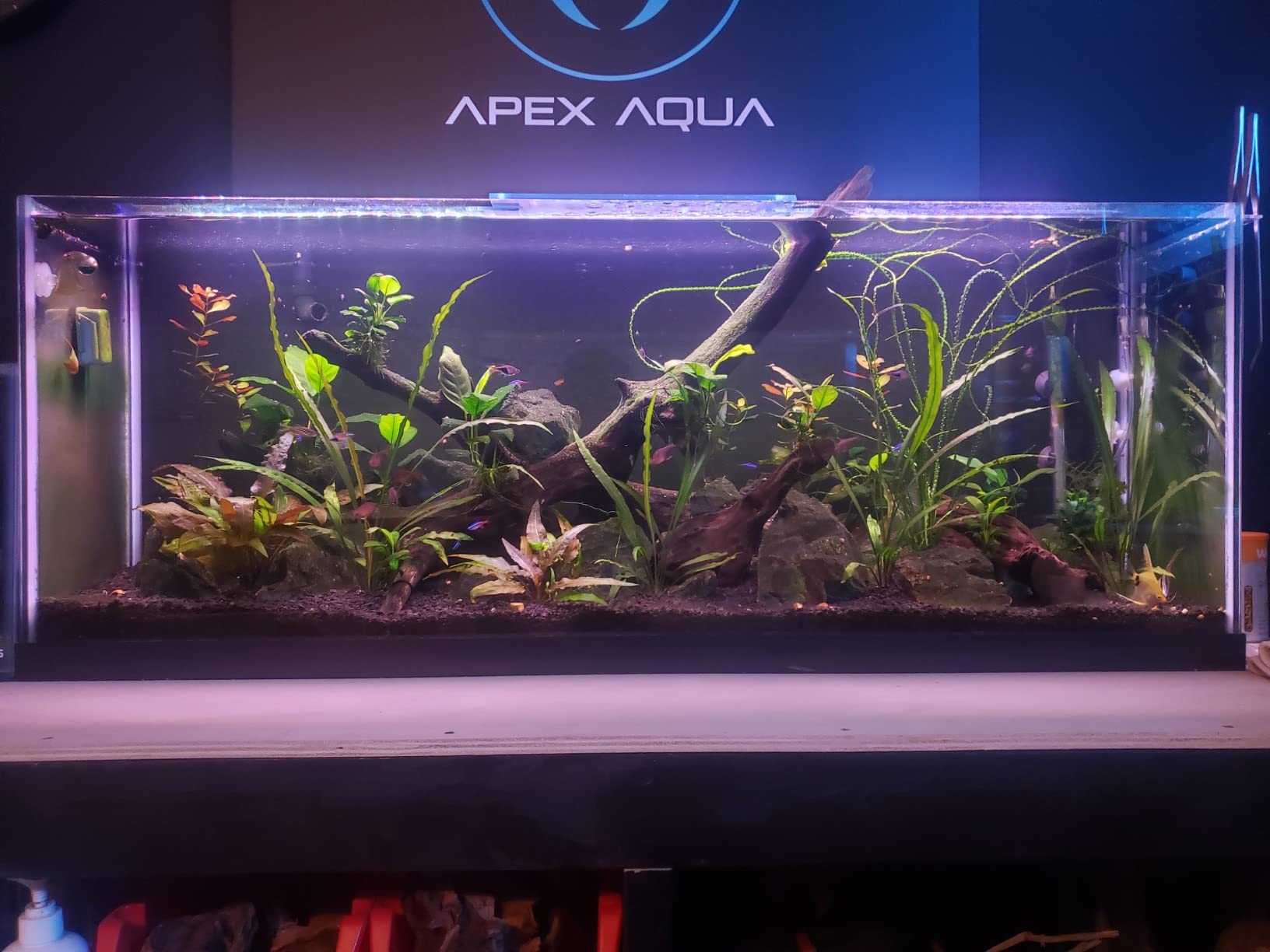Finnex Planted Plus True 24/7 + HLC Aquarium LED Light, Automated Full Spectrum Fish Tank Light, True 660nm Deep Red Plant LEDs, 20 Inch, (HLC-20) customer photo 2