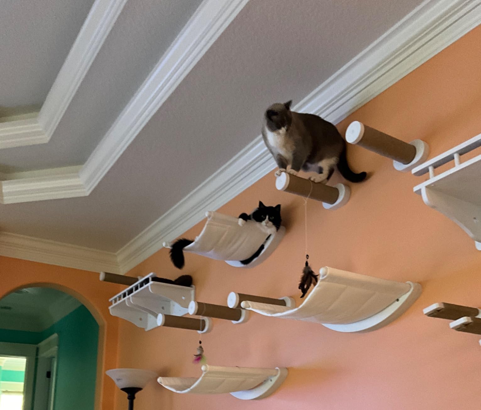 7 Ruby Road Cat Wall Hammock with 2 Steps for Large Cats customer photo 1