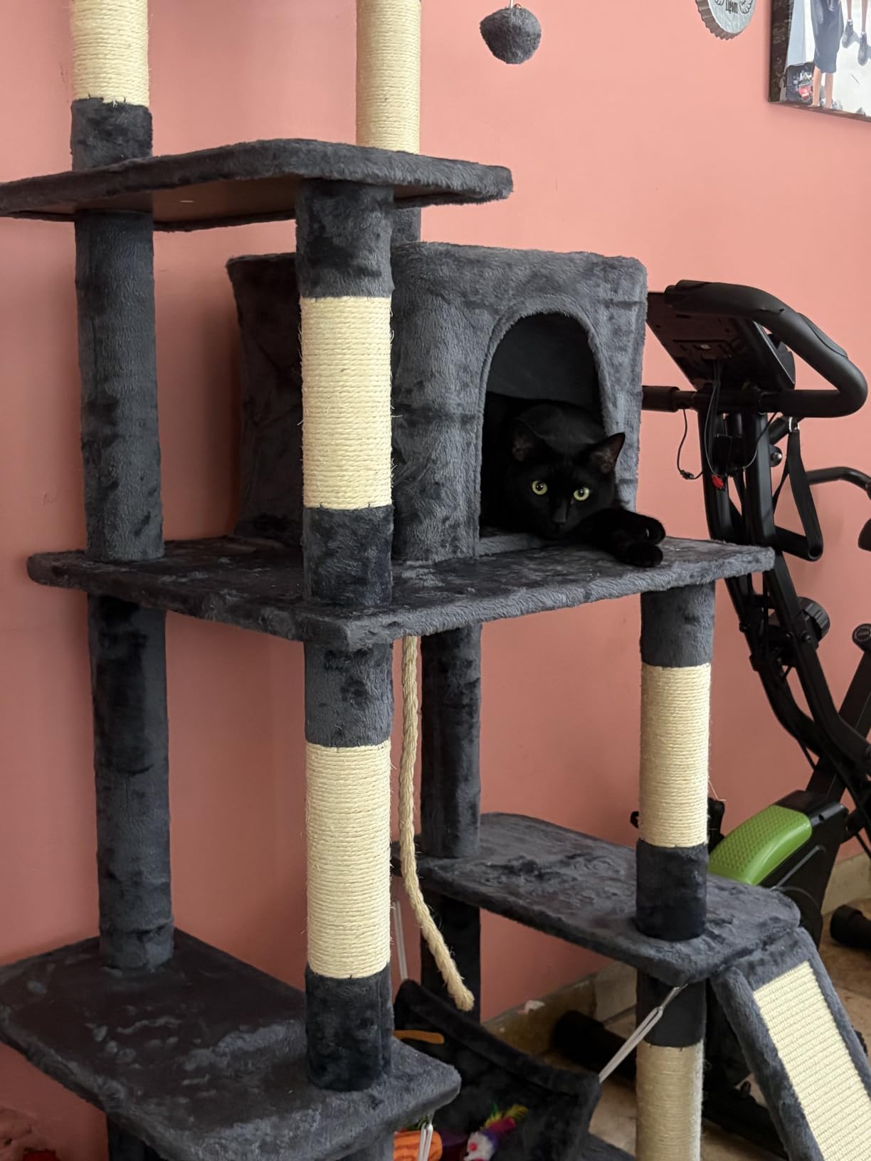 Yaheetech 63in Sturdy Large Cat Tree for Indoor Heavy Cats, Tall Tower customer photo 1