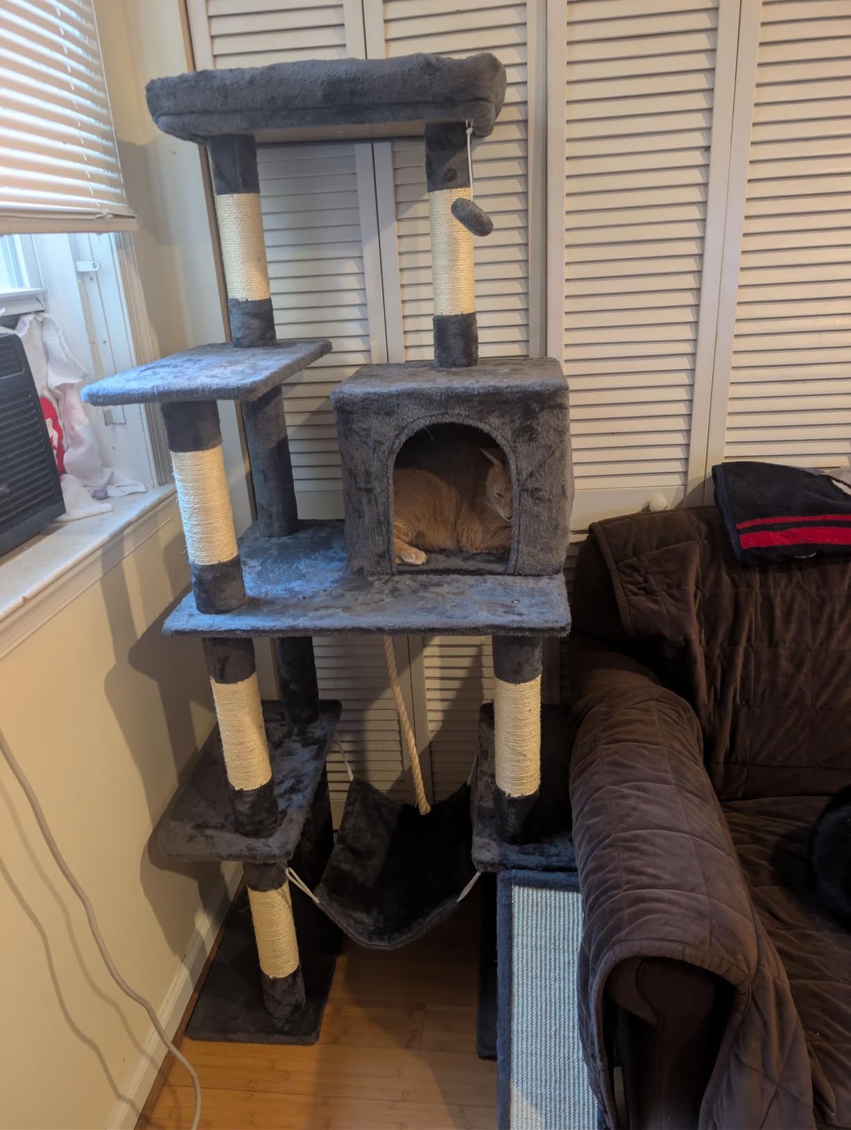 Yaheetech 63in Sturdy Large Cat Tree for Indoor Heavy Cats, Tall Tower customer photo 2